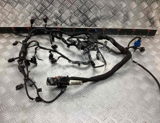 Проводка двигателя Peugeot 207 (WA/WC/WK) 2006-2013  Peugeot 207 207 (WA/WC/WK) 2006-2013