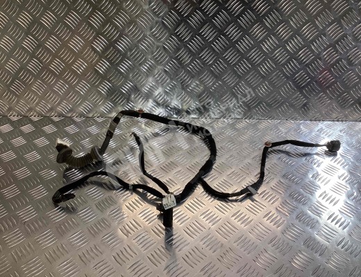 Проводка двери задней левой Kia Sportage II (JE) 2004-2008  Kia Sportage Sportage II (JE) 2004-2008