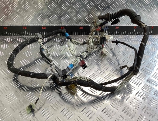 Проводка двери передней левой Renault Magnum E-TECH II 1997-2000  Renault Magnum Magnum E-TECH II 1997-2000