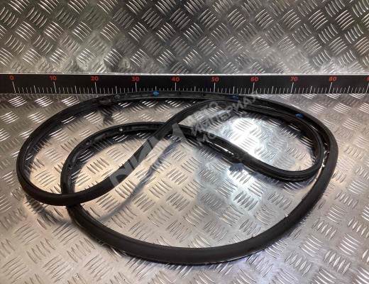 Уплотнитель двери задней левой Audi A4 B6 (8EC, 8E5) 2000-2004  Audi A4 A4 B6 (8EC, 8E5) 2000-2004