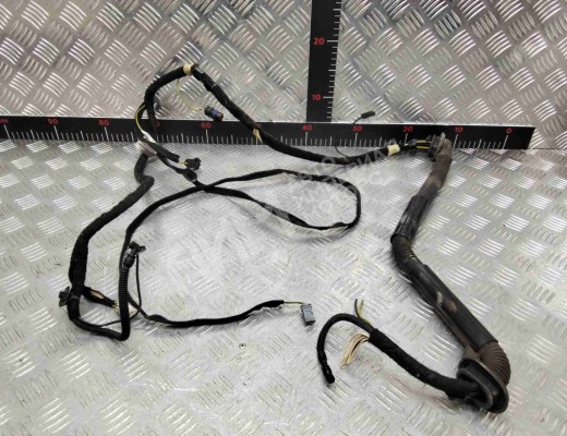 Проводка двери задней левой Fiat Scudo II (270) 2007-2016  Fiat Scudo Scudo II (270) 2007-2016