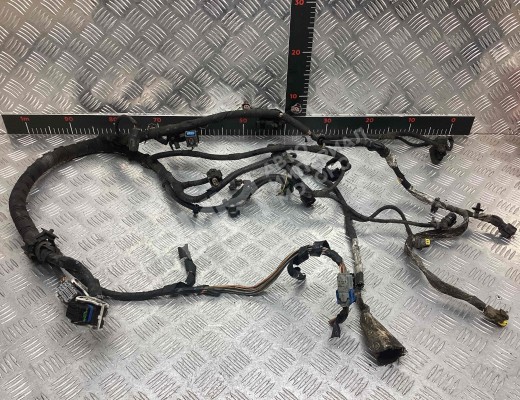 Проводка двигателя Peugeot Boxer II 2006-2014  Peugeot Boxer Boxer II 2006-2014