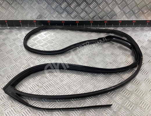 Уплотнитель двери задней левой Hyundai Sonata IV (EF) 2001-2004 рестайлинг  Hyundai Sonata Sonata IV (EF) 2001-2004 рестайлинг