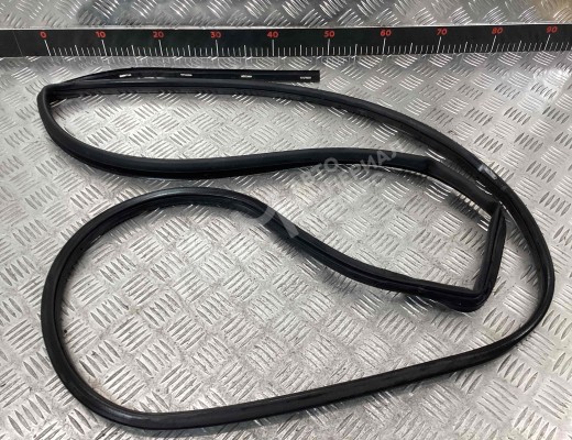 Уплотнитель двери задней левой Hyundai Sonata IV (EF) 2001-2004 рестайлинг  Hyundai Sonata Sonata IV (EF) 2001-2004 рестайлинг