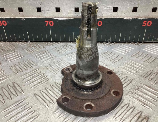 Цапфа задняя (ось ступицы) Audi A4 B5 (8D) 1994-1999  Audi A4 A4 B5 (8D) 1994-1999