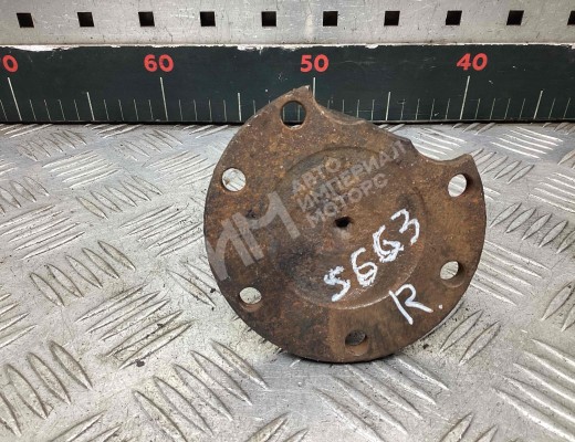 Цапфа задняя (ось ступицы) Audi A4 B5 (8D) 1994-1999  Audi A4 A4 B5 (8D) 1994-1999