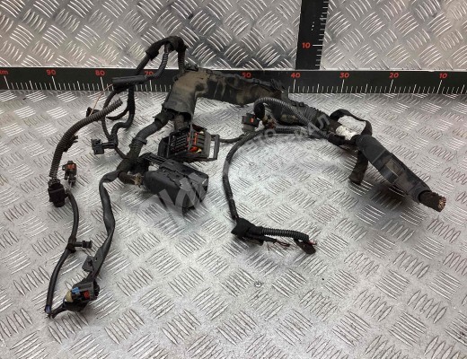 Проводка двигателя Opel Vectra C 2002-2005  Opel Vectra Vectra C 2002-2005