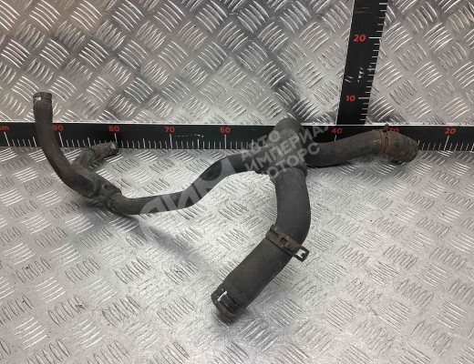 Патрубок радиатора Renault Scenic I (JA) 1999-2003 рестайлинг  Renault Scenic Scenic I (JA) 1999-2003 рестайлинг