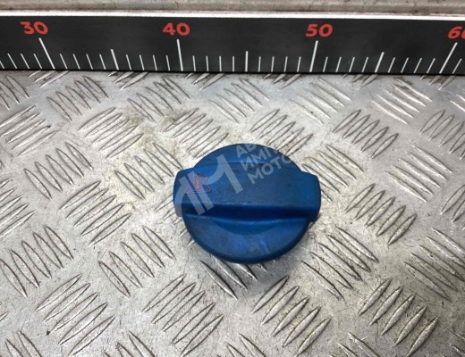 Пробка расширительного бачка Audi A6 C5 (4B) 1997-2001  Audi A6 A6 C5 (4B) 1997-2001