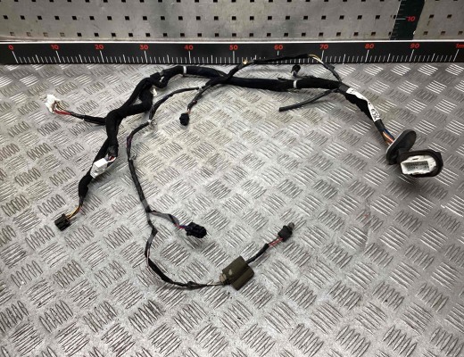 Проводка двери передней левой Kia Carnival I (GQ) 1998-2006  Kia Carnival Carnival I (GQ) 1998-2006