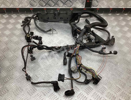 Проводка двигателя BMW 3-Series (E46) 2001-2005 рестайлинг  BMW 3-Series 3-Series (E46) 2001-2005 рестайлинг