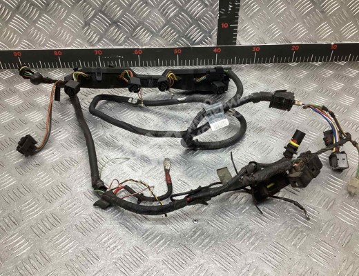 Проводка двигателя BMW 3-Series (E46) 2001-2005 рестайлинг  BMW 3-Series 3-Series (E46) 2001-2005 рестайлинг