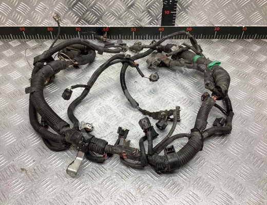 Проводка двигателя Toyota Aygo (B10) 2005-2014  Toyota Aygo Aygo (B10) 2005-2014