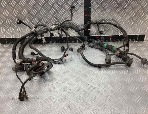 Проводка двигателя Toyota Aygo (B10) 2005-2014  Toyota Aygo Aygo (B10) 2005-2014