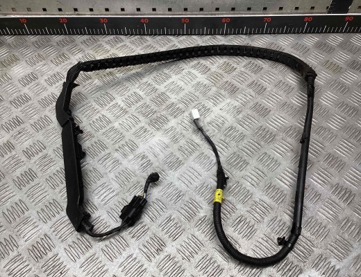 Проводка двери Kia Carnival II (VQ) 2006-2014  Kia Carnival Carnival II (VQ) 2006-2014