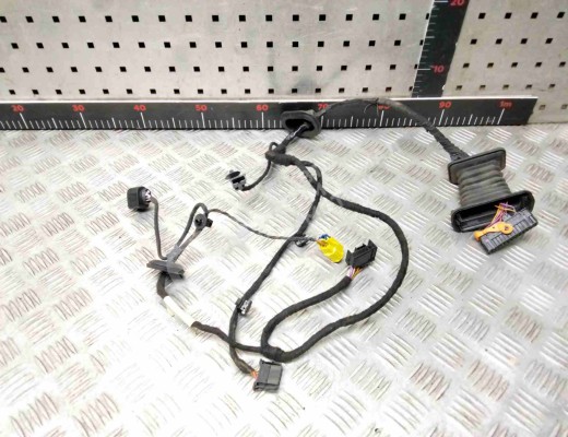 Проводка двери передней правой Volkswagen Passat B6 (3C) 2005-2010  Volkswagen Passat Passat B6 (3C) 2005-2010