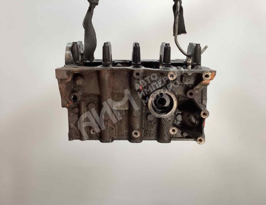 Блок цилиндров Renault Megane II 2002-2006  Renault Megane Megane II 2002-2006