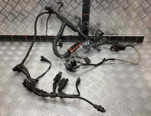 Проводка двигателя Mercedes Vario (W670) 1996-2013  Mercedes Vario Vario (W670) 1996-2013