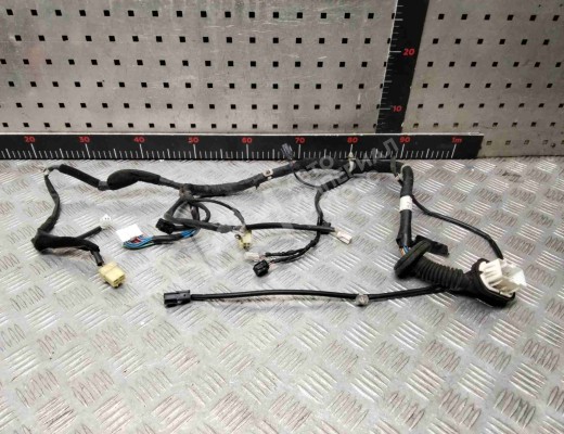 Проводка двери Hyundai Sonata IV (EF) 2001-2004 рестайлинг  Hyundai Sonata Sonata IV (EF) 2001-2004 рестайлинг