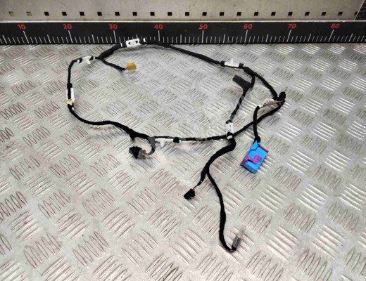 Проводка двери передней правой Audi A6 C6 (4F) 2004-2008  Audi A6 A6 C6 (4F) 2004-2008