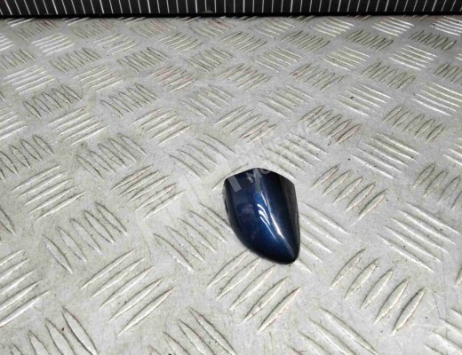Колпачок (заглушка) ручки двери Volkswagen Passat B6 (3C) 2005-2010  Volkswagen Passat Passat B6 (3C) 2005-2010