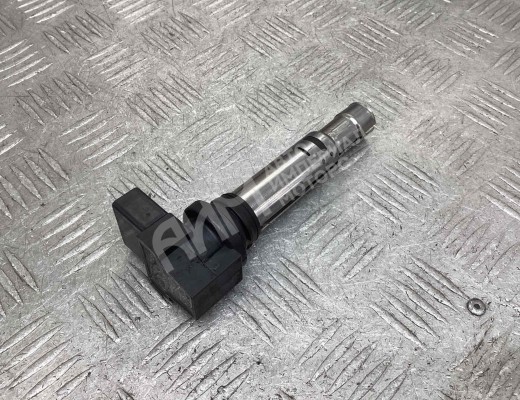 Катушка зажигания Volkswagen Golf IV (1J) 1997-2004  Volkswagen Golf Golf IV (1J) 1997-2004