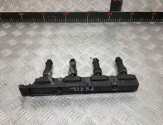 Катушка зажигания (комплект) Opel Corsa D 2006-2010  Opel Corsa Corsa D 2006-2010