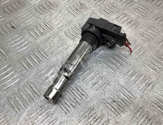 Катушка зажигания Volkswagen Golf IV (1J) 1997-2004  Volkswagen Golf Golf IV (1J) 1997-2004