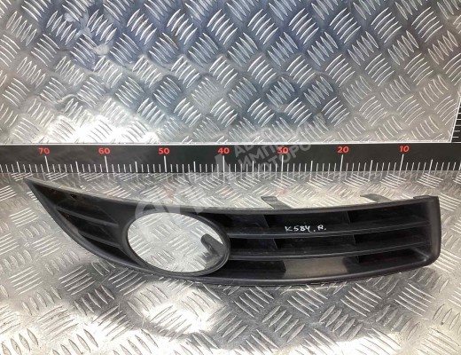 Заглушка (решетка) в бампер передний Volkswagen Passat B6 (3C) 2005-2010  Volkswagen Passat Passat B6 (3C) 2005-2010