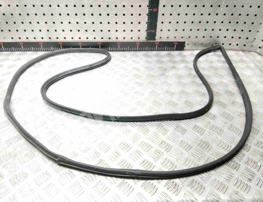 Уплотнитель двери передней левой Chrysler Voyager IV (RG) 2001-2008  Chrysler Voyager Voyager IV (RG) 2001-2008